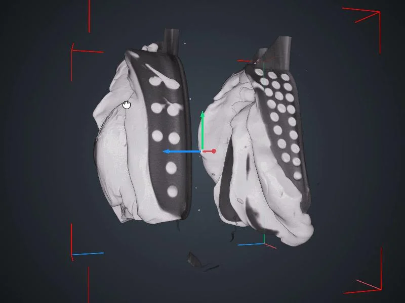 A data set with two dental impressions in VGSTUDIO MAX