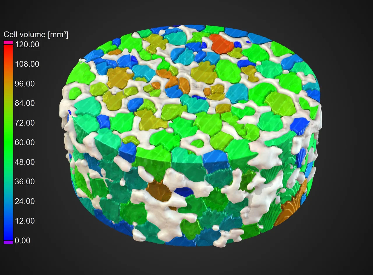 Color-coded cells sizes of foam/powder analysis